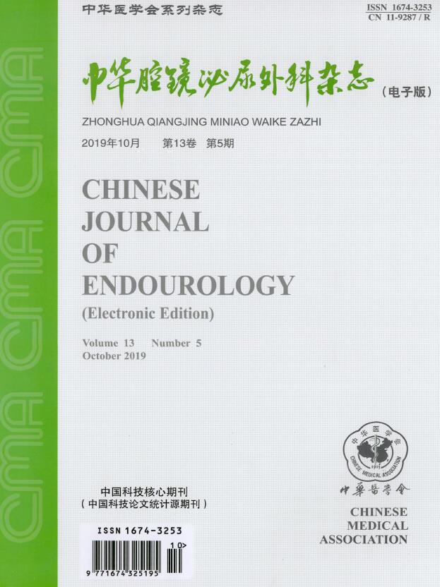 中华腔镜泌尿外科杂志(电子版)