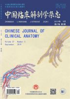 中国临床解剖学杂志