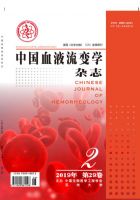 中国血液流变学杂志
