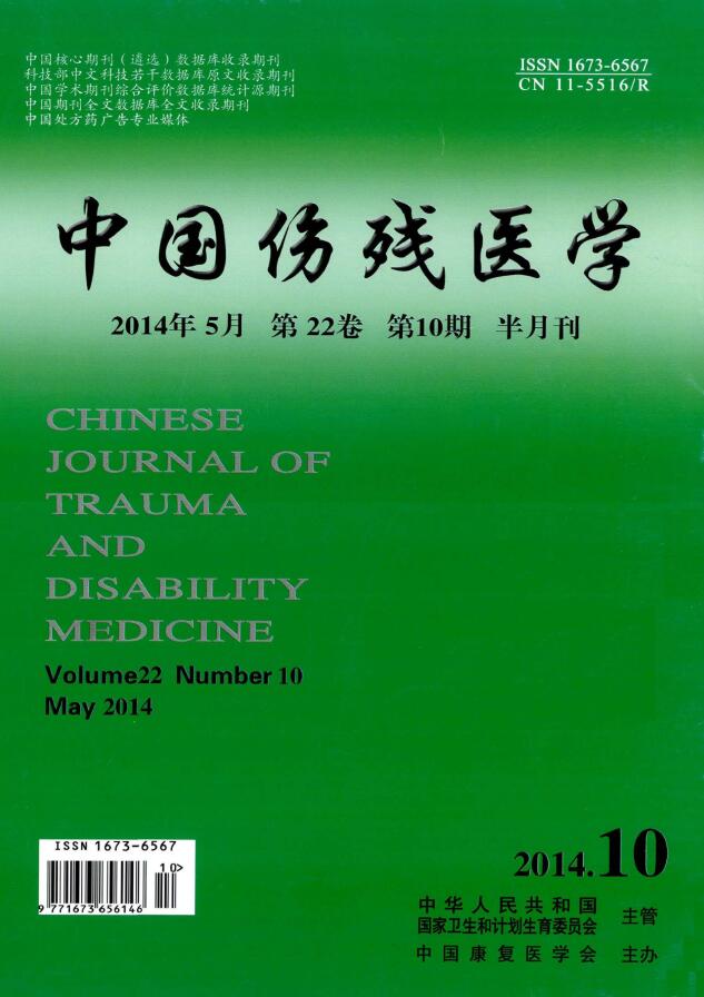 中国伤残医学