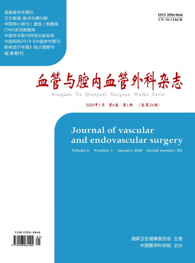 血管与腔内血管外科杂志