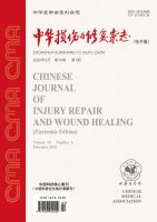 中华损伤与修复杂志(电子版)