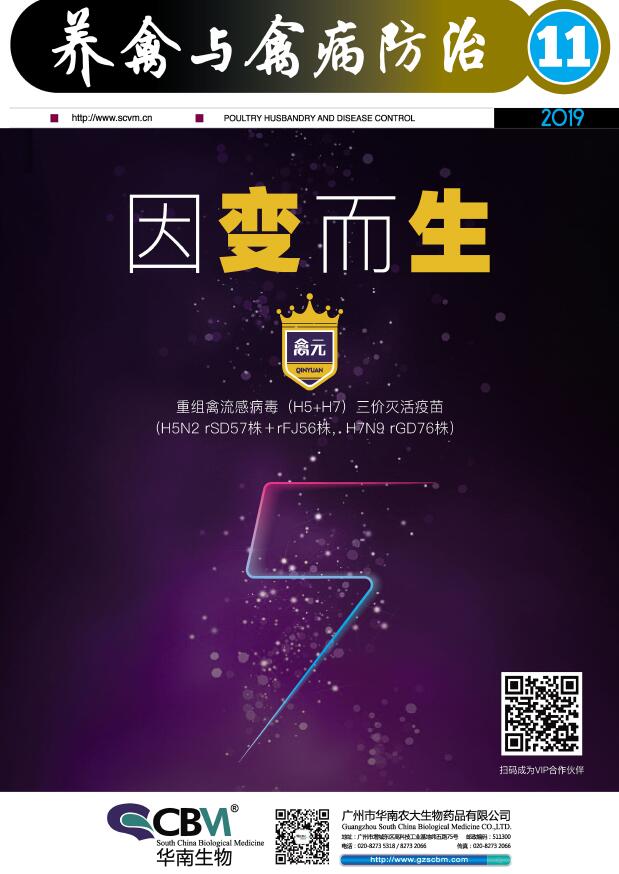 养禽与禽病防治