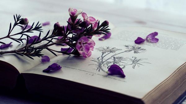 国际上如何评价生物医学类论文质量？