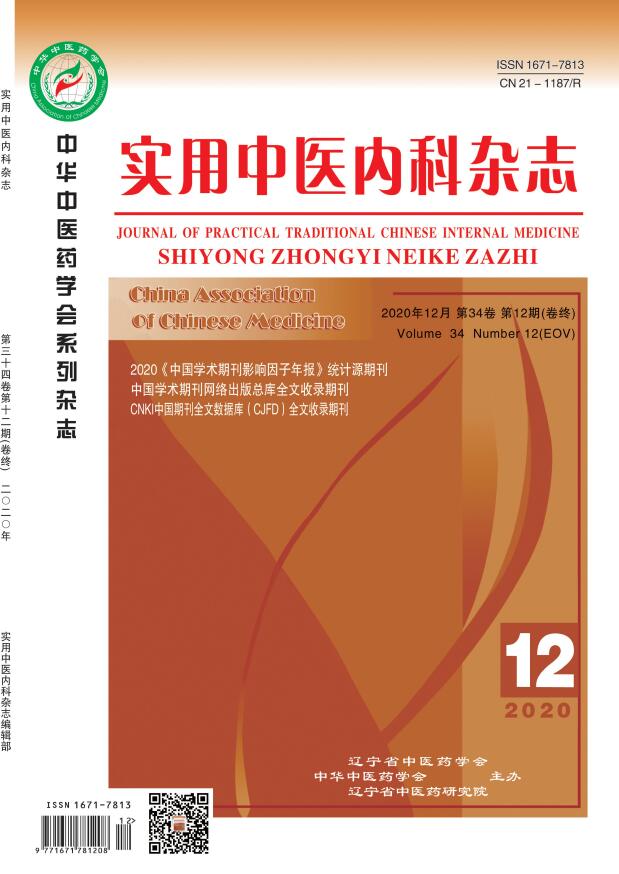 《实用中医内科杂志》栏目设置_收录情况