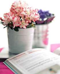 儿科统计源核心期刊有哪些？