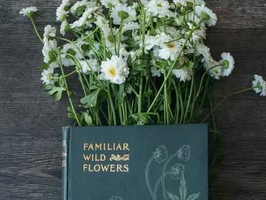 研究生论文发表与投稿技巧大揭秘