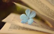 职称评选中课题研究的重要性