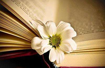 研究生论文开题报告及结论要怎么写？