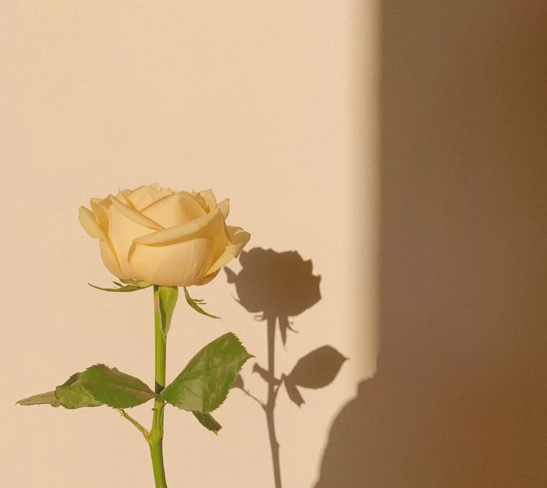 课题一共要经历几个阶段