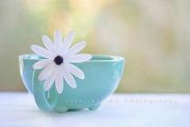 肿瘤学北大中文核心期刊