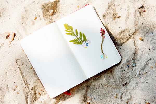 SCI论文基本要求有哪些？怎样才能写出一篇高分的SCI论文？