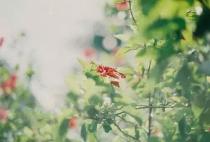 中医泌尿学论文题目精选（50篇）