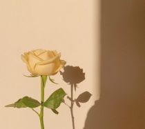 课题一共要经历几个阶段