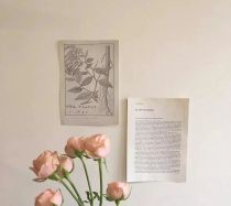 本科生论文在知网查重步骤是什么？论文查重率多少合格？