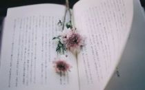 我们为什么要修改论文？有哪些实用的论文修改技巧？