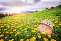 学位论文查重规范有哪些内容？