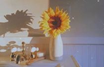 金融类著作可以在国际出版社出版吗？