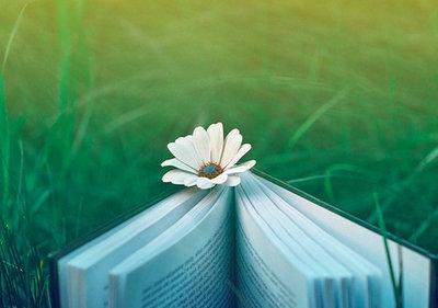 研究生论文答辩要包括哪些内容？如何做个成功的硕士研究生论文答辩