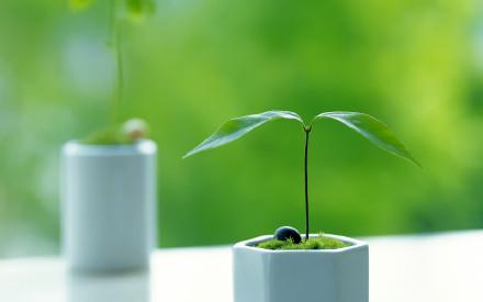  评职称主编编委和副主编有区别