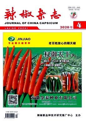 投稿《辣椒杂志》基金有优势吗？需要注意什么？