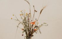 农业论文职称评审资格