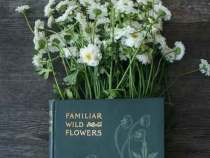 SCI论文投稿及发表需要注意哪些问题？