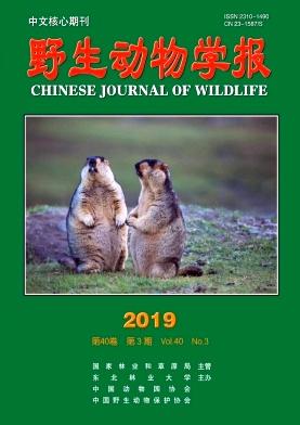 《野生动物学报》是核心期刊吗？如何快速投稿？