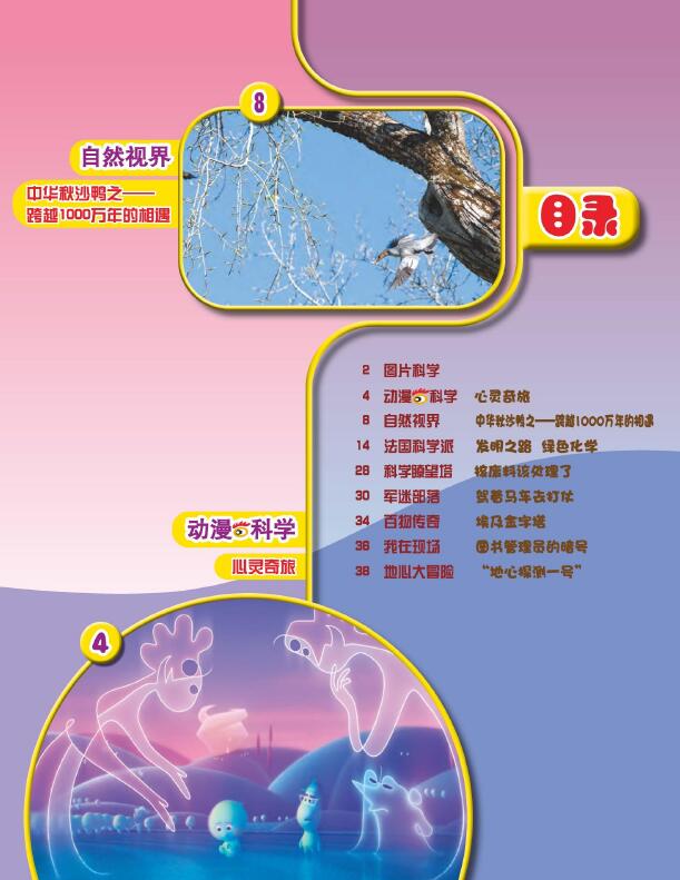 《小学科学》杂志对文稿字数有要求吗？投稿后还能更改作者吗？