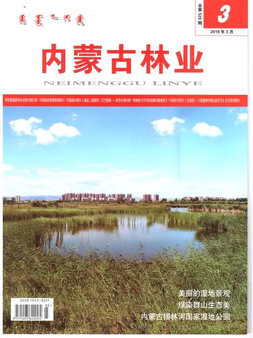 投稿《内蒙古林业》杂志前需要了解哪些细节？