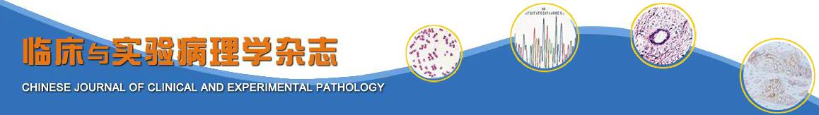 《临床与实验病理学杂志》2021年官网最新投稿须知