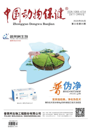 《中国动物保健》杂志面向哪些人群征稿？刊登的文章方向具有哪些？