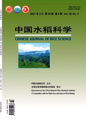 《中国水稻科学》杂志主要收什么方向的文章？好投吗？