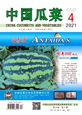 《中国瓜菜》杂志刊登的文章方向具有哪些？发表后多久可以上网？