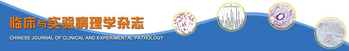 《临床与实验病理学杂志》是核心期刊吗？投稿2个月内能不能收到杂志社回复？91学术