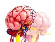医学领域脑血管病方向核心期刊推荐