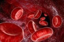 血液病方面优秀文章精选