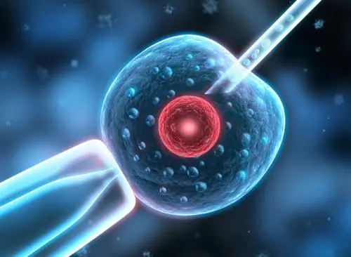 生殖医学方向论文选题精选列表