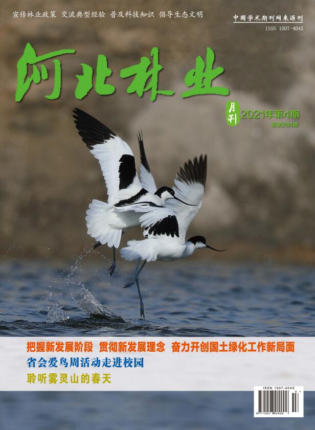 《河北林业》杂志基本信息_关于本刊91学术