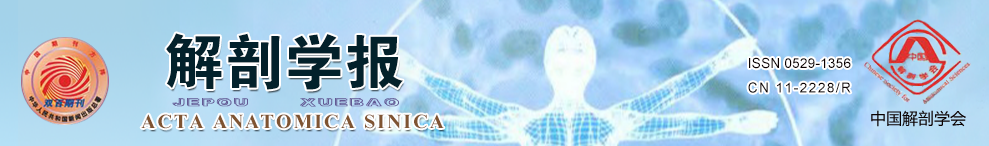 《解剖学报》收短篇文章吗？发文章有稿酬吗？91学术