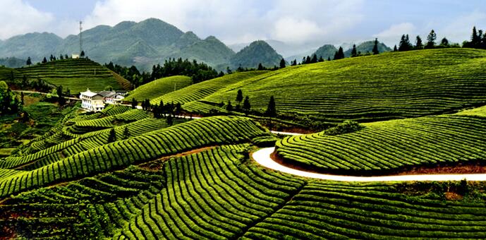 《山西林业》杂志征稿范围有哪些？对格式有哪些要求？91学术