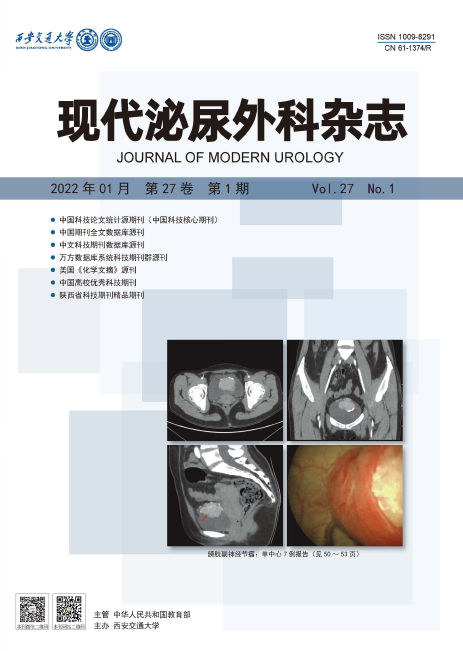 《现代泌尿外科杂志》是不是核心期刊？报道内容有什么？91学术