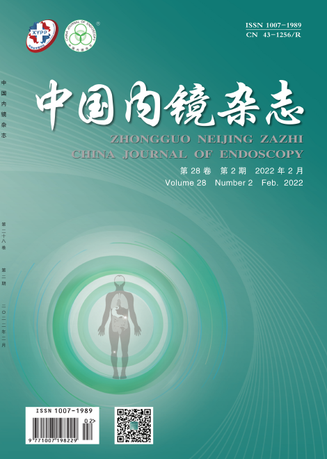 《中国内镜杂志》重点论文精选题目介绍91学术