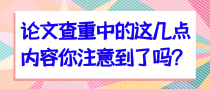 论文查重中的这几点内容你注意到了吗？