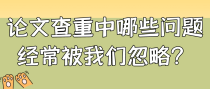 论文查重中哪些问题经常被我们忽略？