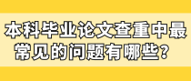 本科毕业论文查重中最常见的问题有哪些？