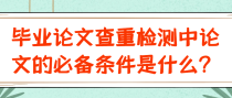 毕业论文查重检测中论文的必备条件是什么？