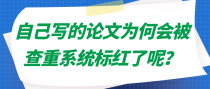 自己写的论文为何会被查重系统标红了呢？
