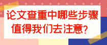 论文查重中哪些步骤值得我们去注意？