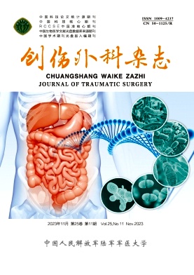 《创伤外科杂志》投稿有什么要求？91学术